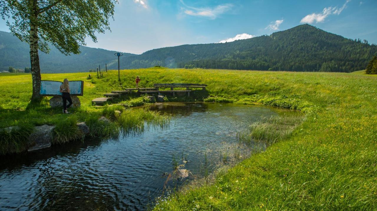 Camping Bella Austria Sankt Peter am Kammersberg Dış mekan fotoğraf