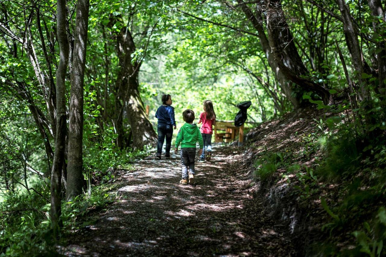 Camping Bella Austria Sankt Peter am Kammersberg Dış mekan fotoğraf